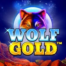 Wolf Gold slot – okładka gry